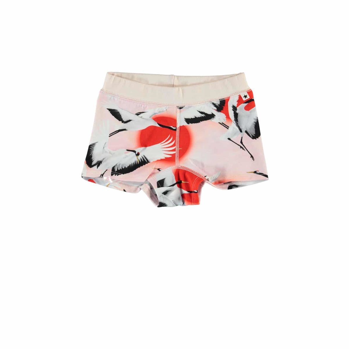 Joanna bottom sunrise cranes 